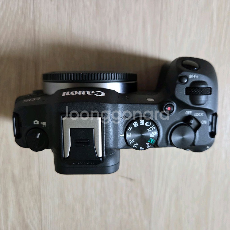 캐논 R8--2