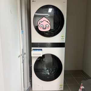 w20eean 워시타워 팝니다