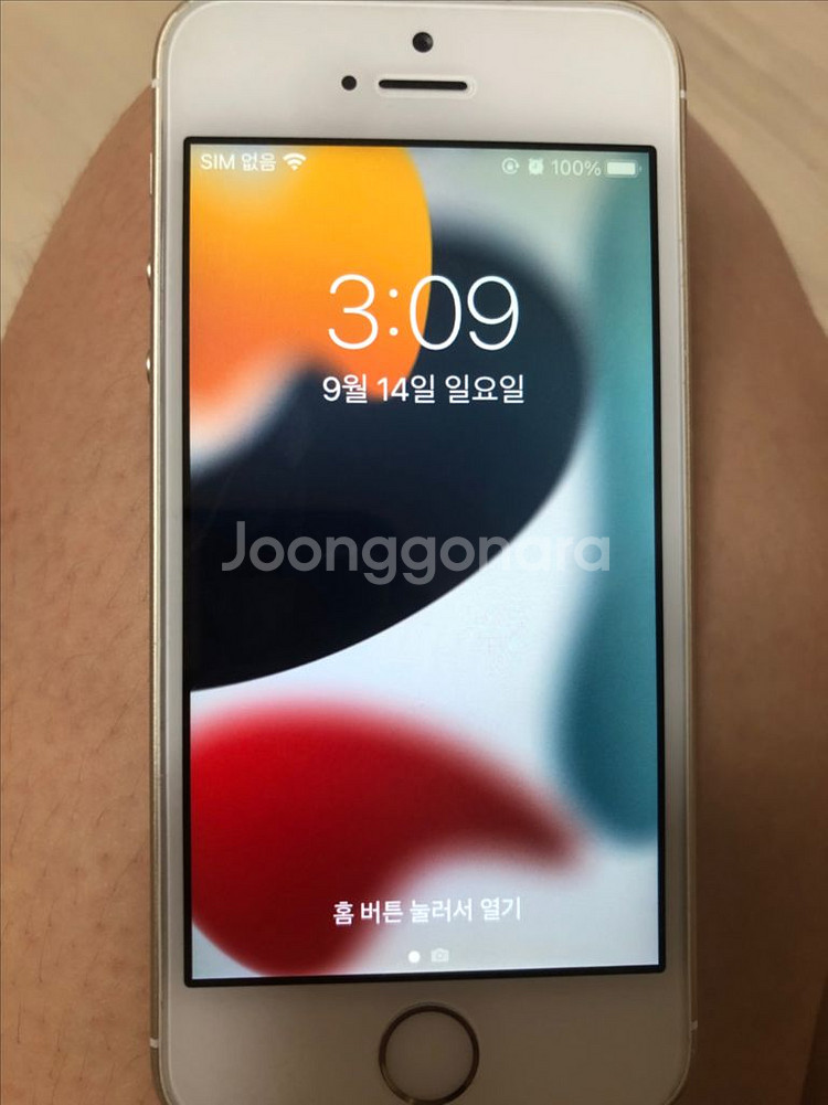 아이폰SE1세대 골드 128기가 미국판--10