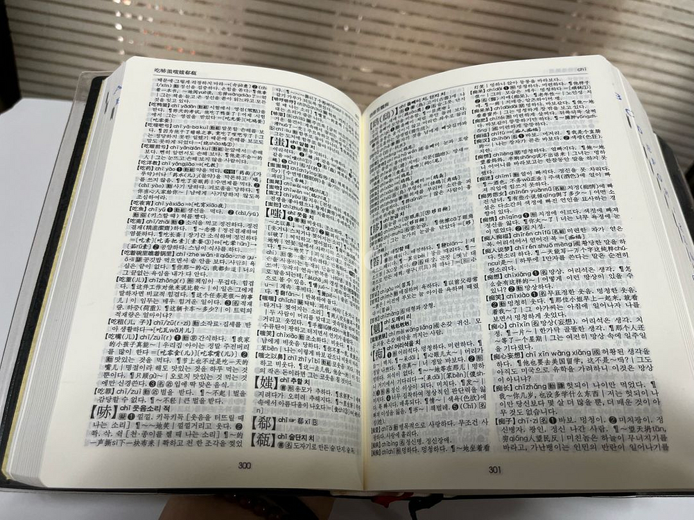 진명 중한사전--3