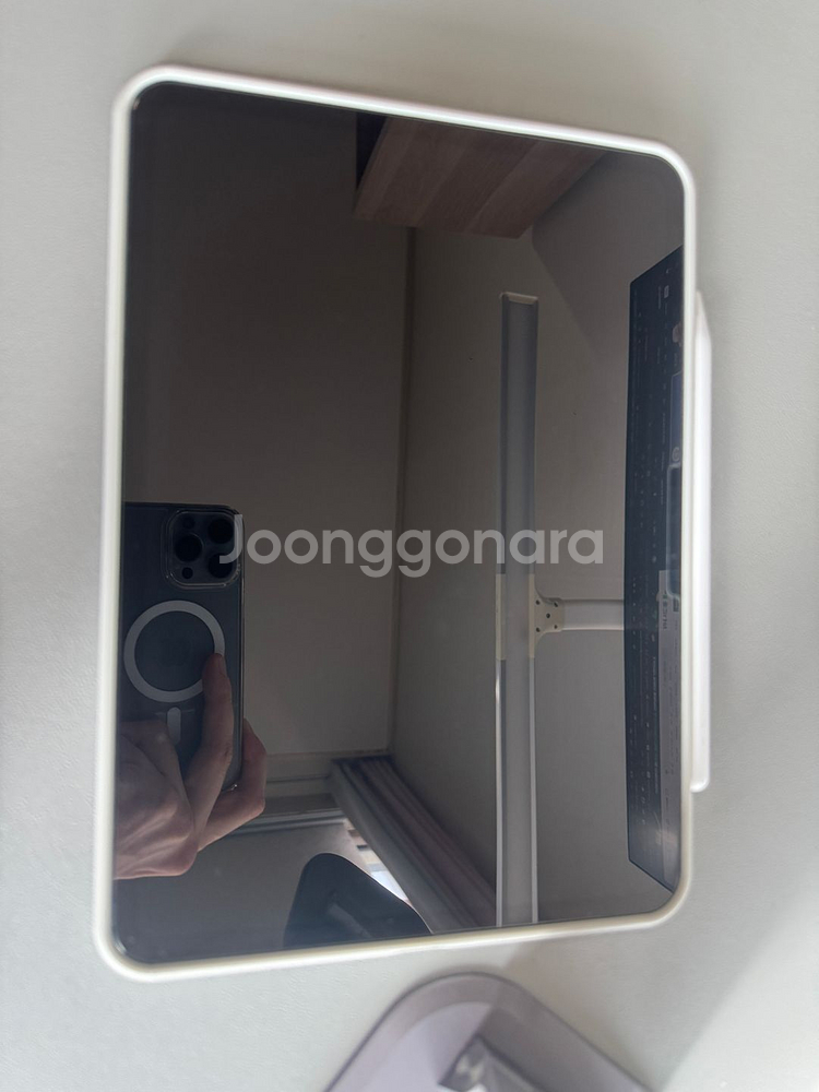 아이패드프로 m4 11 256 실버+ 팬슬프로--2