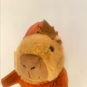 카피바라 가을 단풍 인형