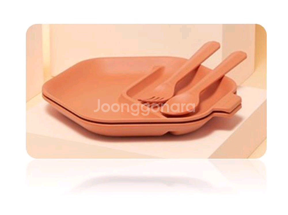 스타벅스 21 스타벅스 RTD 피크닉 프렌즈 세트--5