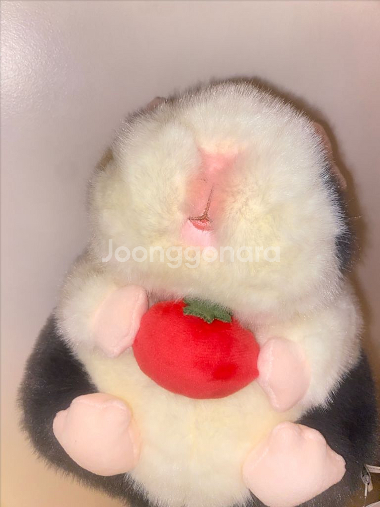 데굴데굴 야채식사 모루못토상 봉제 인형--0