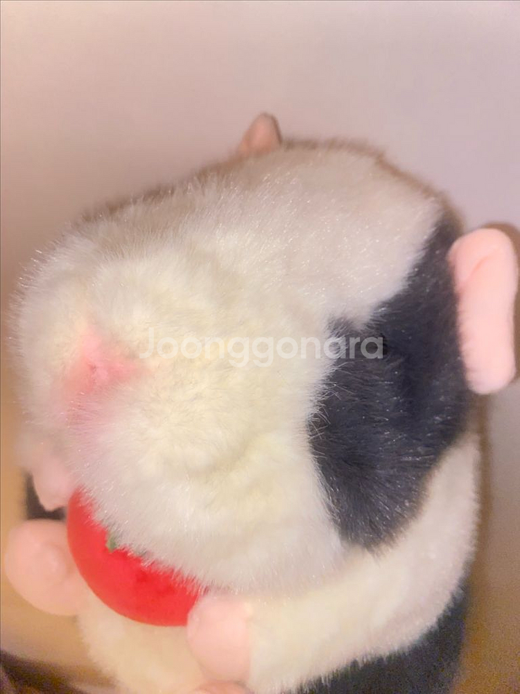 데굴데굴 야채식사 모루못토상 봉제 인형--1
