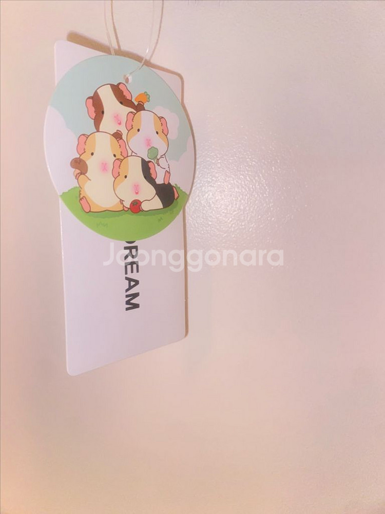 데굴데굴 야채식사 모루못토상 봉제 인형--3