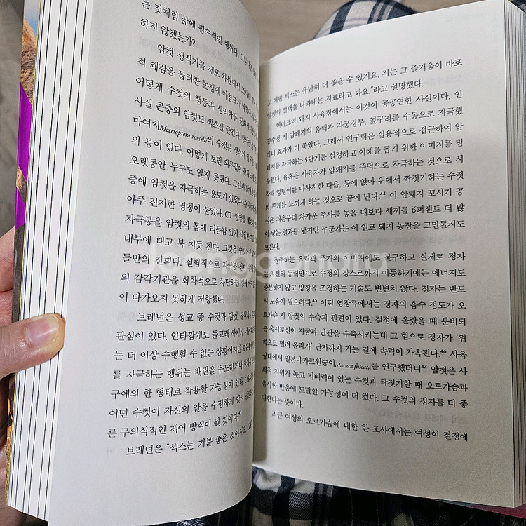 루시쿡 작가 암컷들 책--1