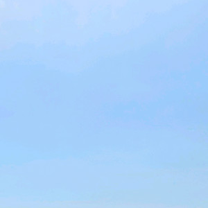 한우 정액 팝니다.
