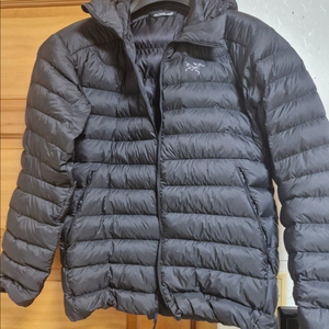 아크테릭스 세륨 후디 L 블랙