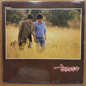 해바라기 lp
