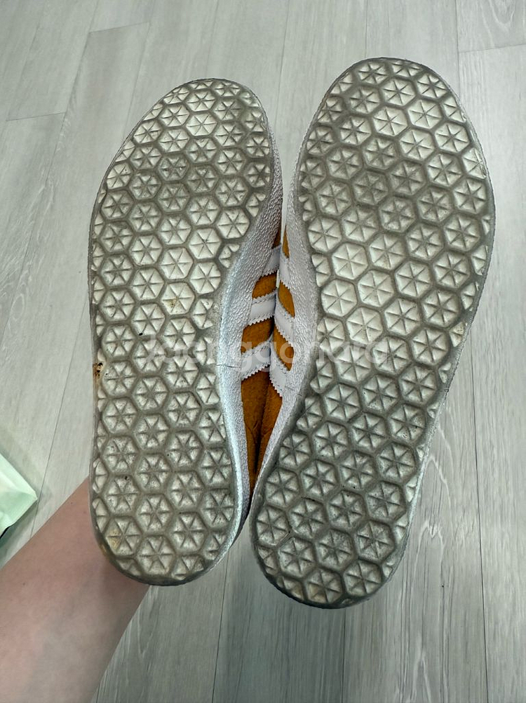 아디다스 가젤 G96702 220-225--5