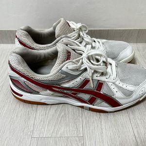 로테리브레 체대입시화 280