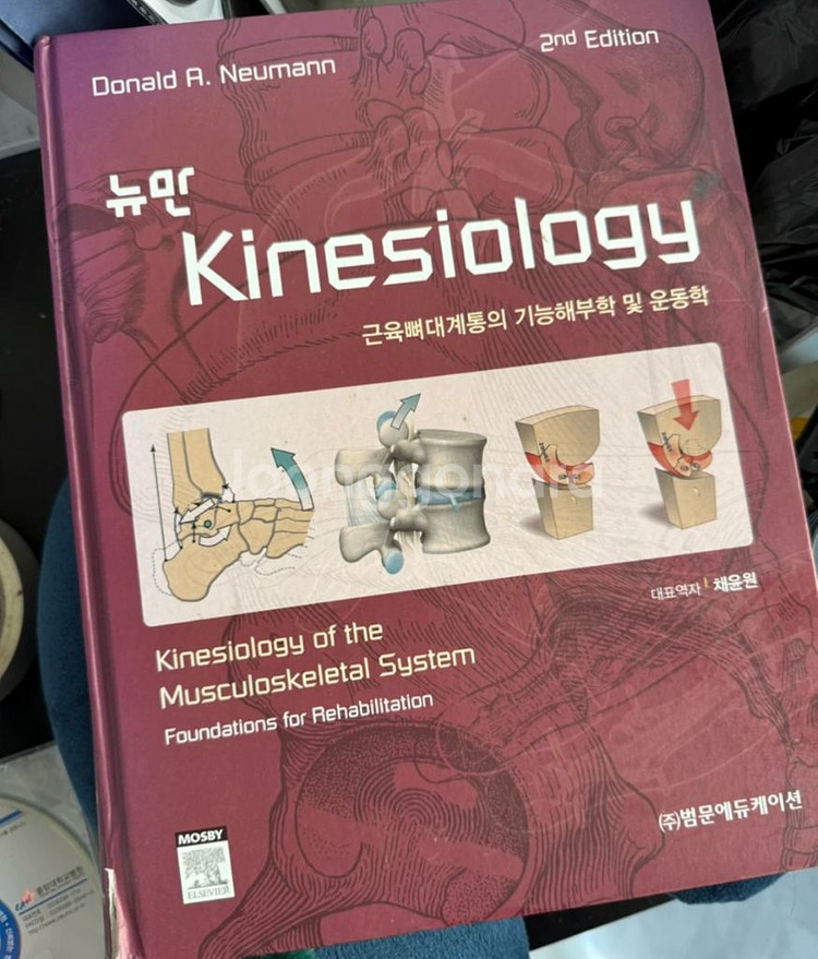 뉴만 키네지올로지--0