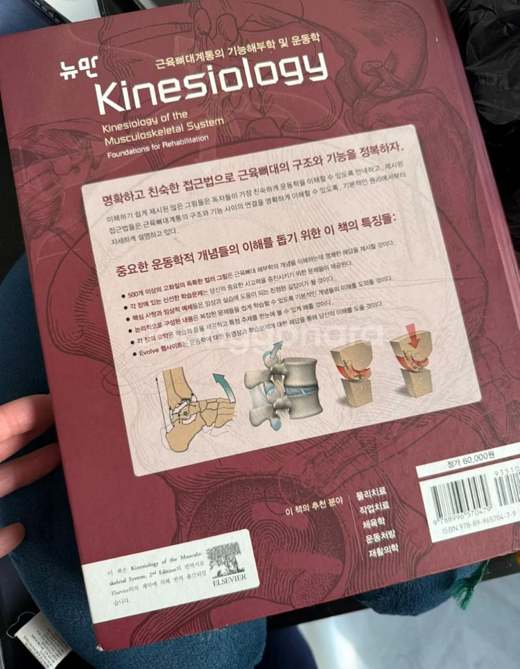 뉴만 키네지올로지--1