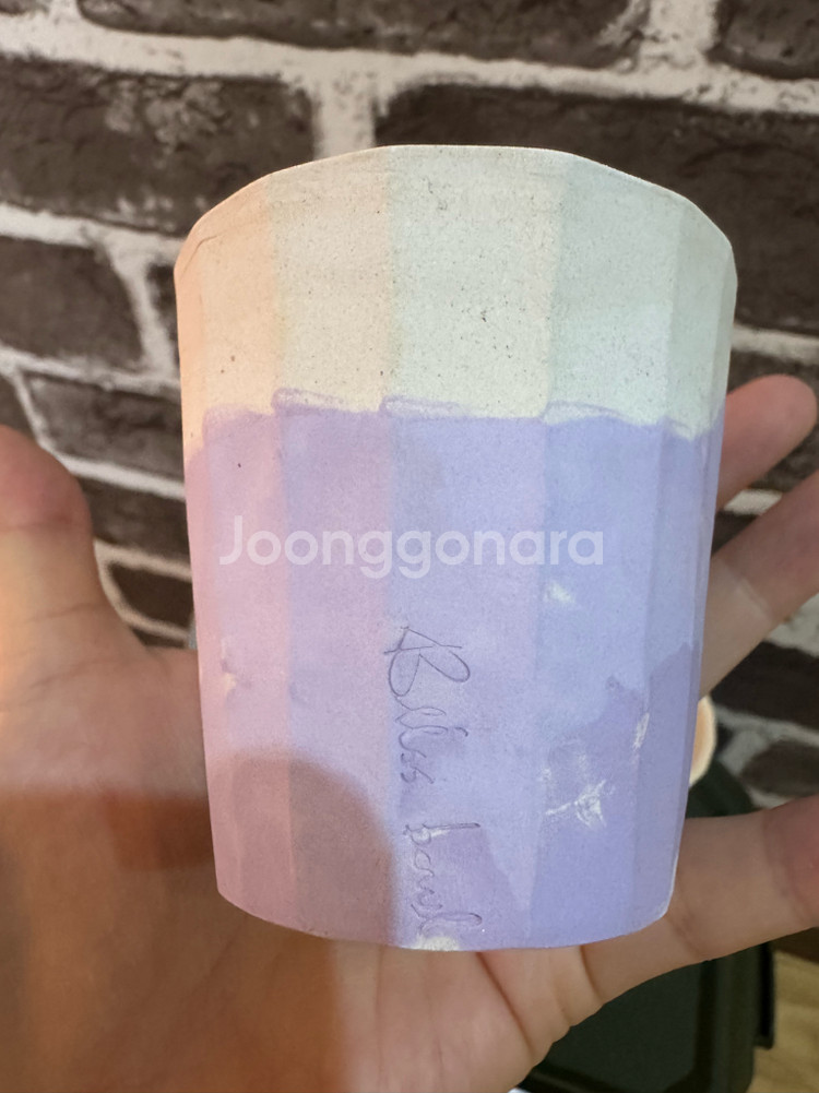 블리스볼 토분 반도네온 팟5개--3