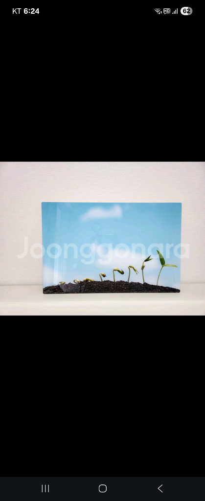 새싹 아크릴 액자. 인테리어. 장식 (새것)--0