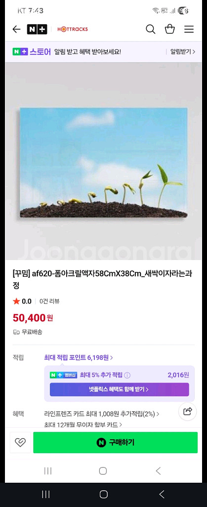 새싹 아크릴 액자. 인테리어. 장식 (새것)--1