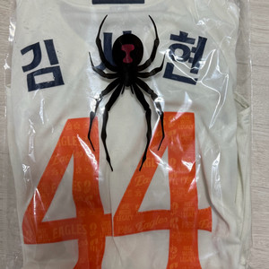 한화이글스 40주년 유니폼 어센틱