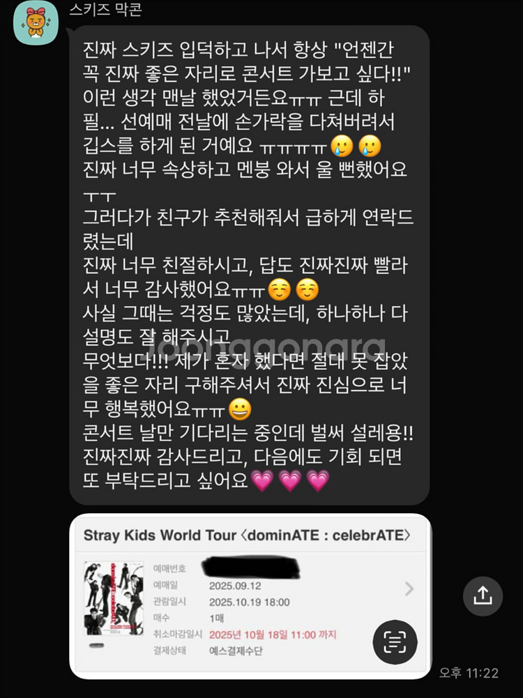 스트레이키즈 스키즈 콘서트 일예,취켓팅 대리 댈티--2