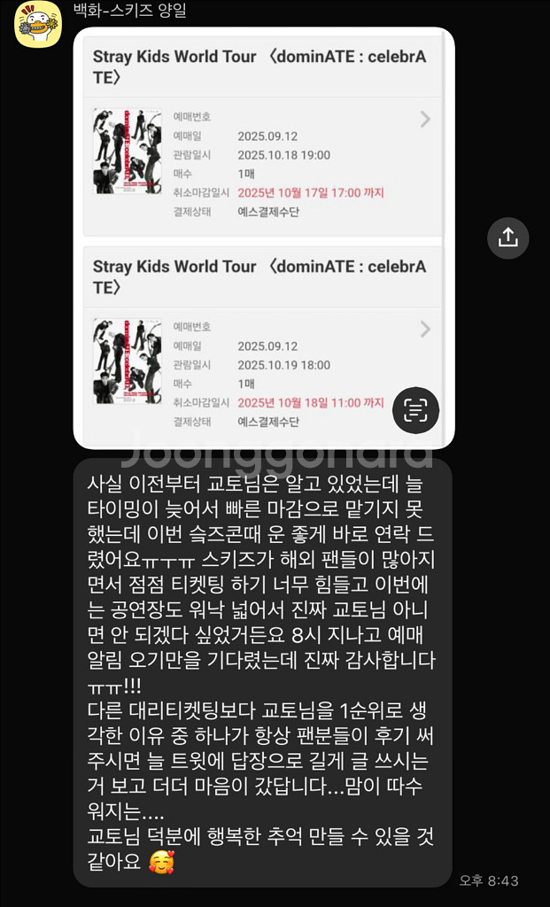 스트레이키즈 스키즈 콘서트 일예,취켓팅 대리 댈티--5