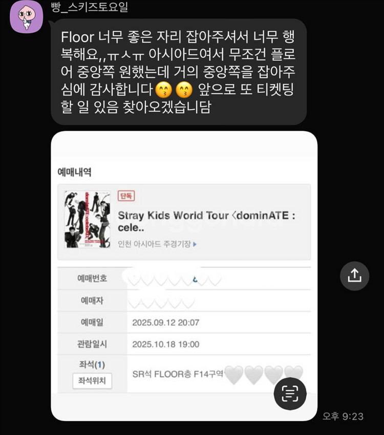 스트레이키즈 스키즈 콘서트 일예,취켓팅 대리 댈티--6