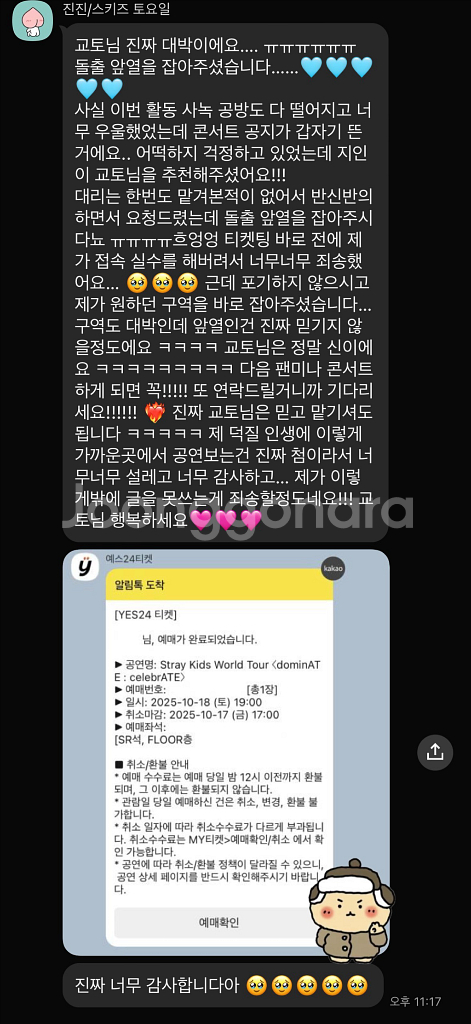 스트레이키즈 스키즈 콘서트 일예,취켓팅 대리 댈티--3