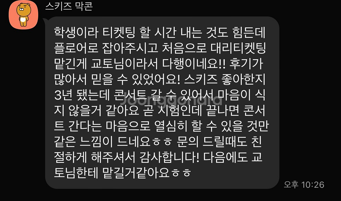 스트레이키즈 스키즈 콘서트 일예,취켓팅 대리 댈티--8