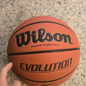 윌슨 에볼루션 7호
