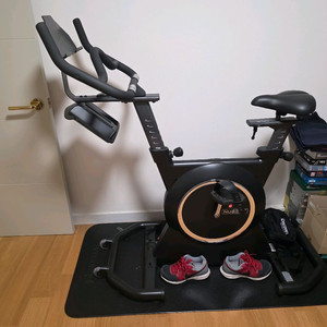 Nuskin Nubeat 뉴비트 실내자전거