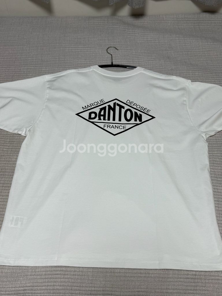 단톤 티셔츠--1