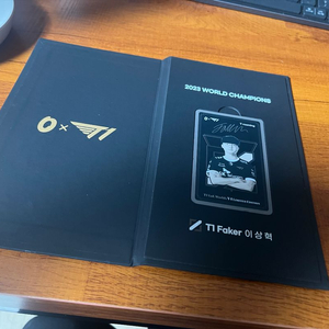 T1 페이커 우승기념 여행 로밍 3GB 한정판 쿠폰
