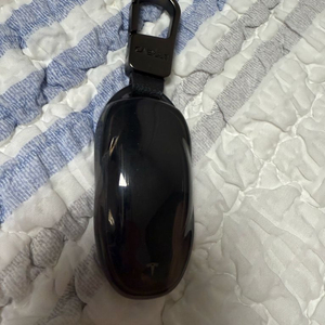 테슬라 키팝2 키홀더 포함