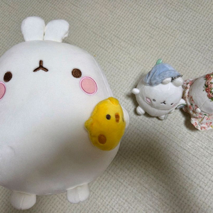 몰랑이 인형 열쇠고리 키링 일괄
