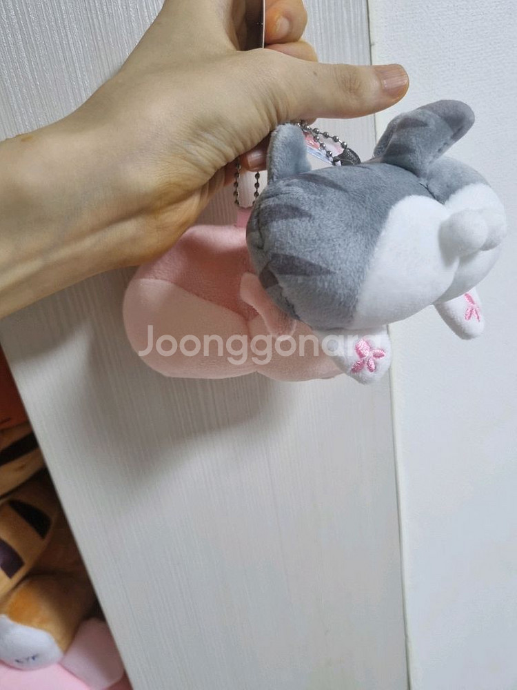 옥지 인형 키링 선인장? 고양이궁둥이--2