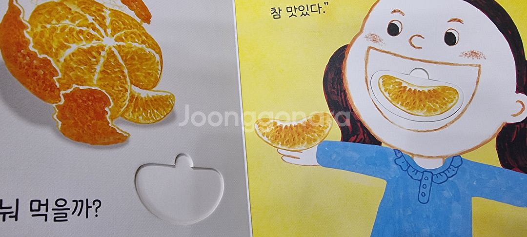 25년개정/베이비올수과학동화36권+가이드북--6