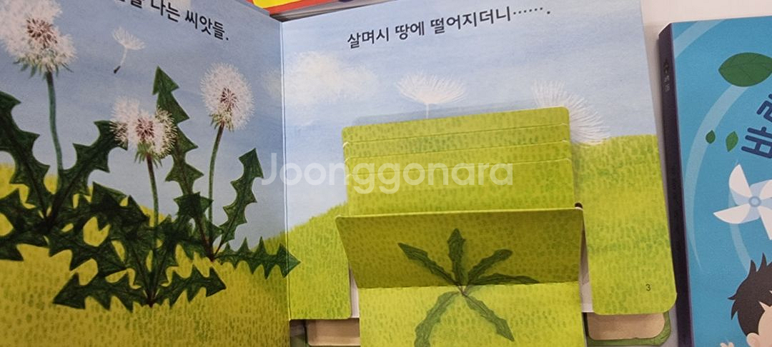 25년개정/베이비올수과학동화36권+가이드북--5