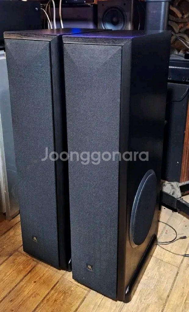 일본 빈티지 명기 AR310HO 톨보이 스피커--6