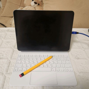 아이패드11 4세대M2 (wifi+cellular)