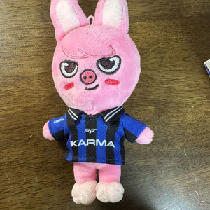 카르마 스키주ver. 돼끼