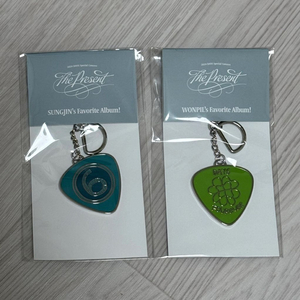 데이식스 메탈 피크 키링 클콘 엠디 성진 원필 이미지