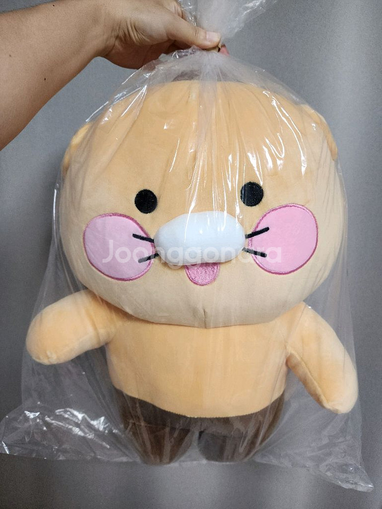 대형 춘식이--0