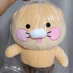 대형 춘식이