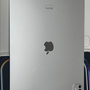 m4 아이패드 프로 13인치 1테라 셀룰러 스탠다드