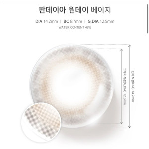 렌즈미 판데이아 원데이 베이지