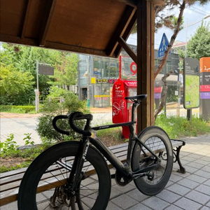 진바이크 타입1 반차 판매만 이미지