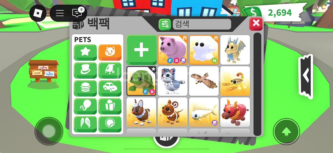 입양하세요 FR거북이,돼지--0