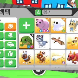 입양하세요 FR거북이,돼지