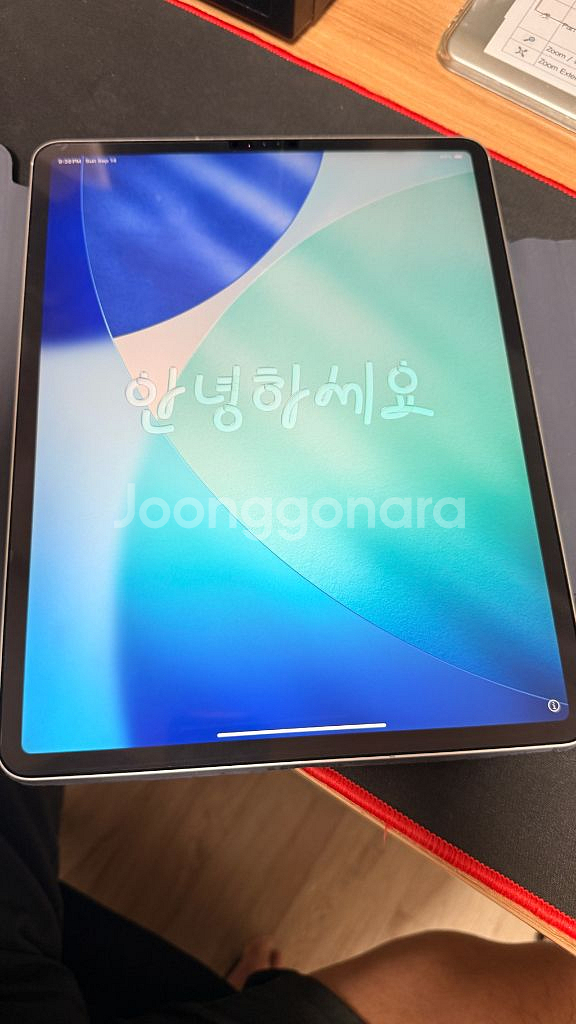 아이패드 프로 12.9 4세대 256g 셀룰러 + 팬슬--0