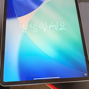아이패드 프로 12.9 4세대 256g 셀룰러 + 팬슬