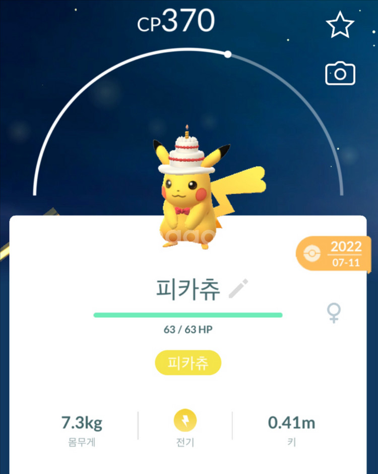 포켓몬고 코스튬 피카츄 팝니다--2